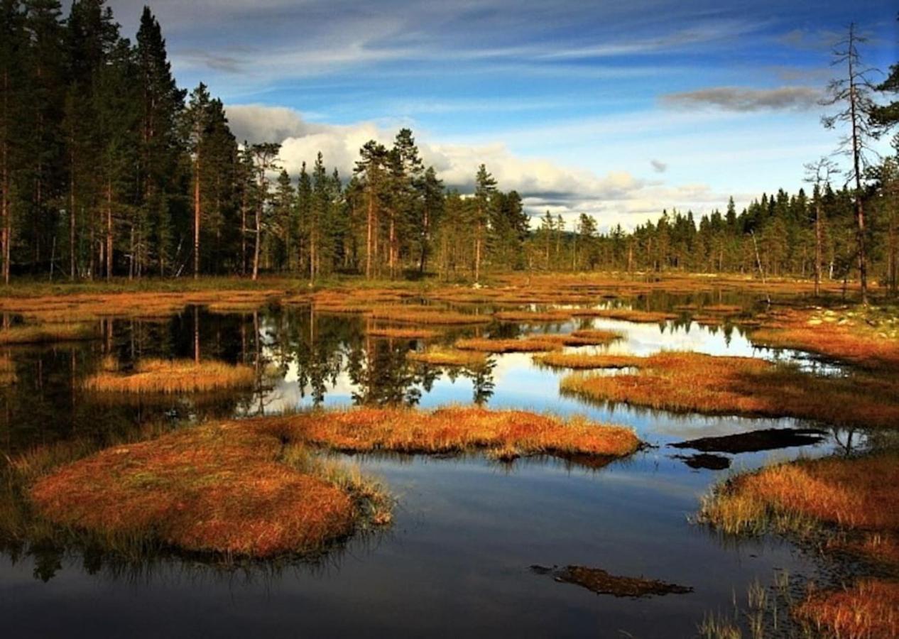 Chata Pod Rejvizem Jeseník Buitenkant foto