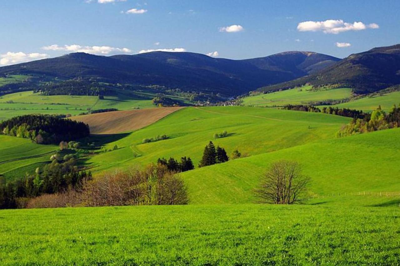 Chata Pod Rejvizem Jeseník Buitenkant foto
