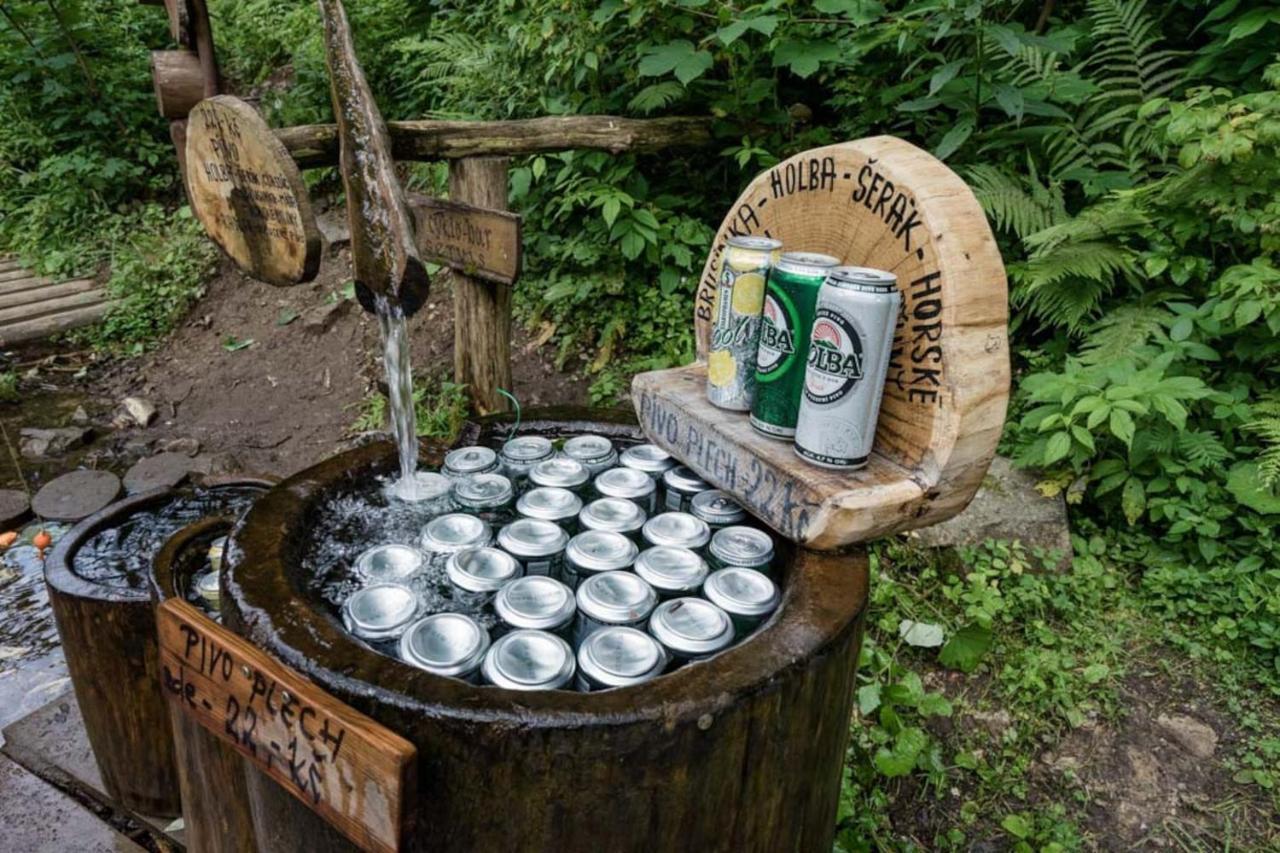 Chata Pod Rejvizem Jeseník Buitenkant foto